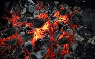 Borromin’s ProFagus completes refinancing