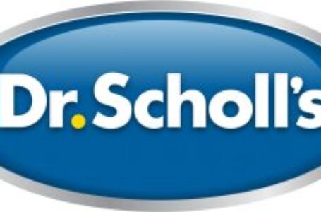 After 37 Years, Yellow Wood Reunites Dr. Scholl’s
