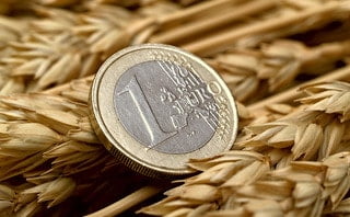 Convent Capital holds first close for Agri Food Growth Fund