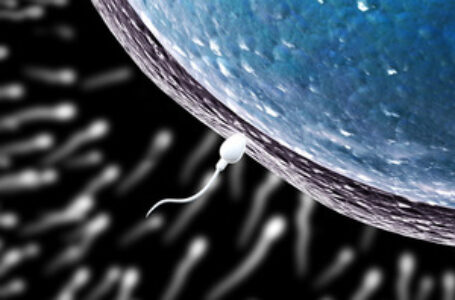 Axcel exits European Sperm Bank to Perwyn
