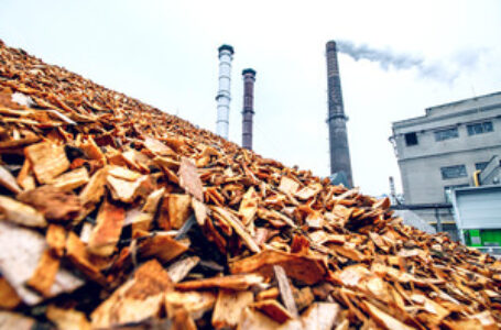 Earth Capital merges four assets to form bioenergy plant SEHL