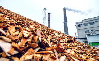 Earth Capital merges four assets to form bioenergy plant SEHL